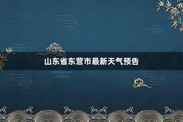 山东省东营市最新天气预告